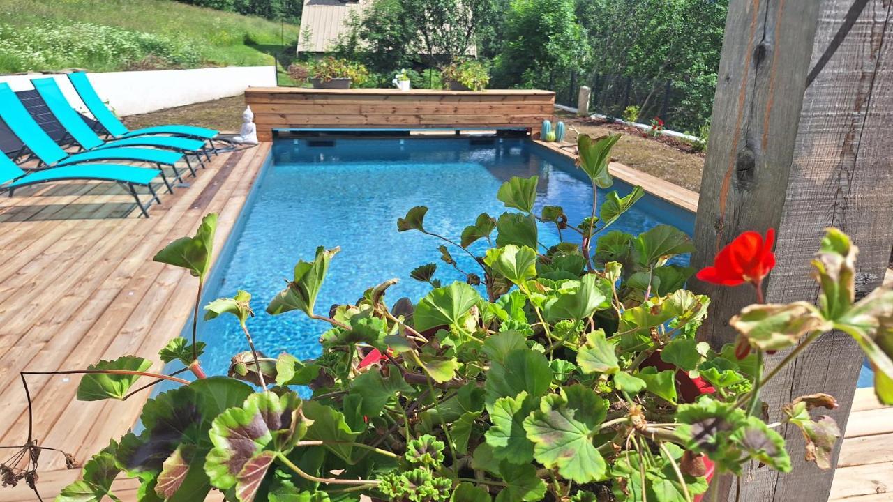 Chalet Serre Cambeou Piscine&Spa Сен-Шафре Экстерьер фото
